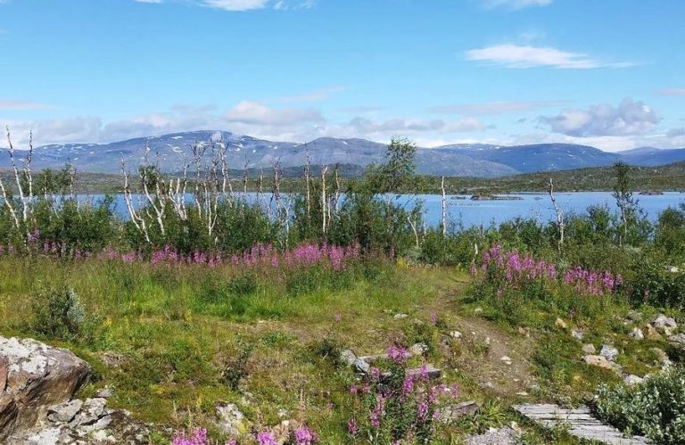 Abisko in Schweden: Natur pur nördlich des Polarkreises