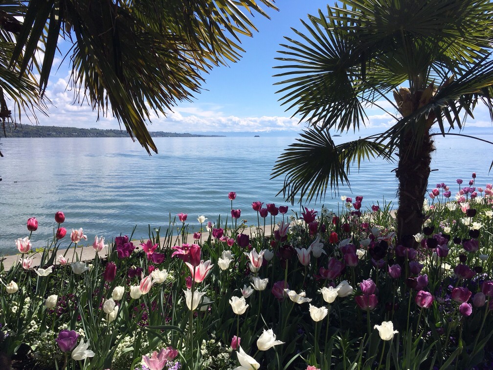 Urlaub in Bodensee, Deutschland