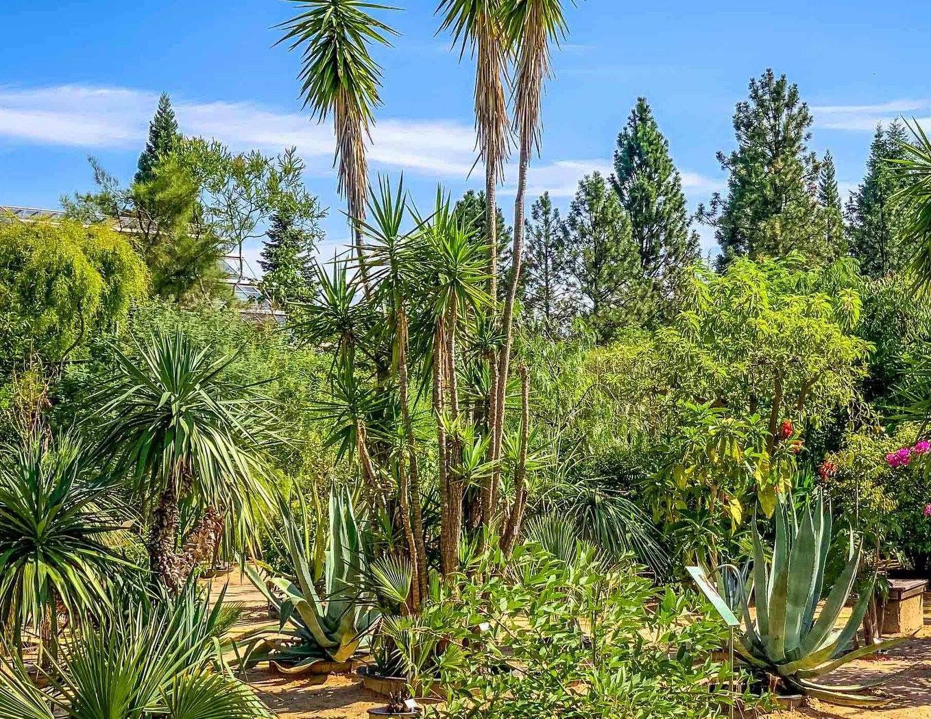 Botanischer Garten in Würzburg