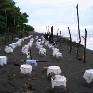 Costa Rica - schildkröten camp