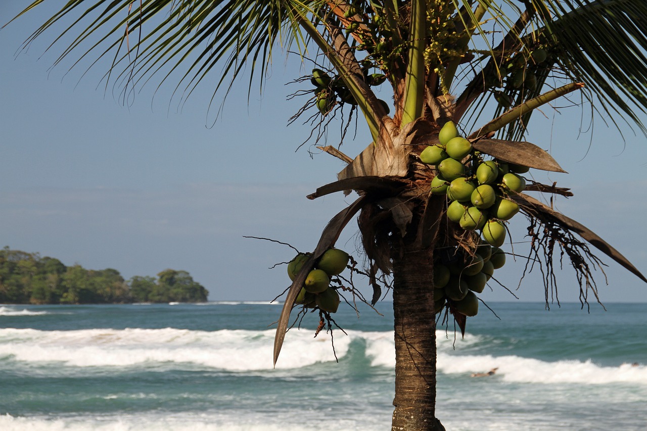 Digitales Nomadenleben auf Bocas del Toro