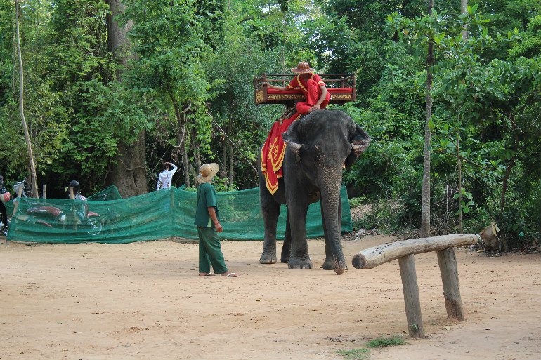 Elefant in Angkor