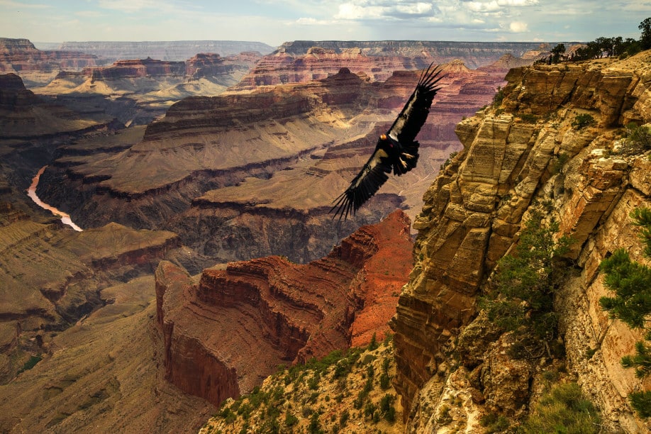 Grand Canyon im Norden des US-Bundesstaats Arizona, Nevada