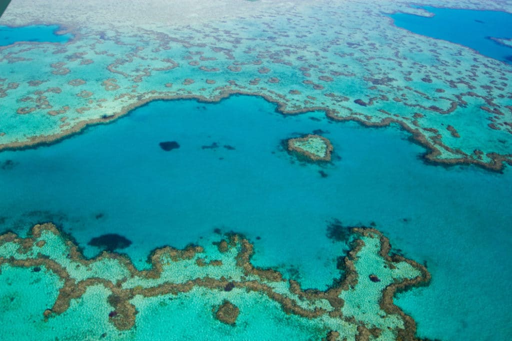 Great Barrier Reef in Australien