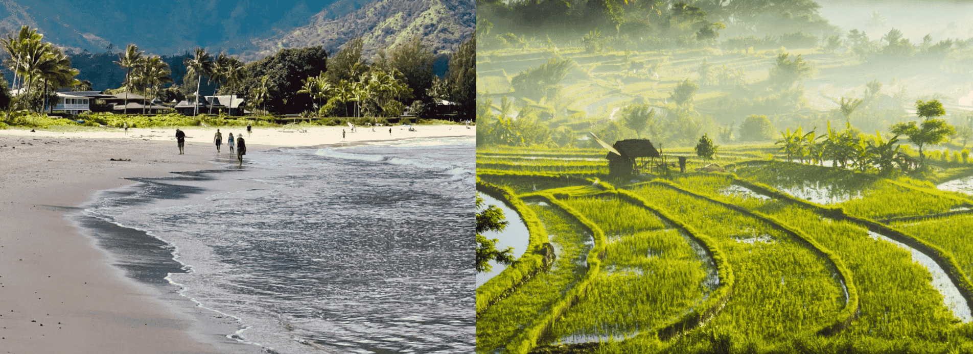 Bali oder Hawaii – Welche Insel passt am besten zu mir?