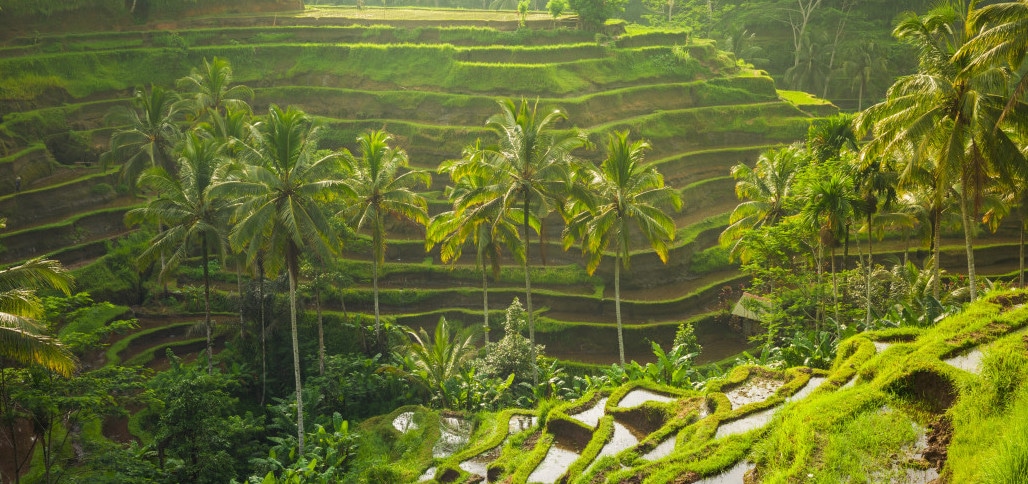  Backpacking in Indonesien Alle Informationen Visum uvm.
