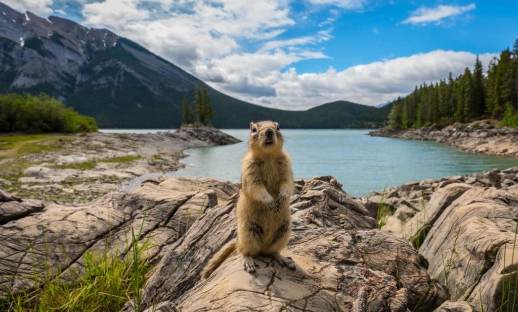 Beste Reisezeit für Backpackers in Kanada