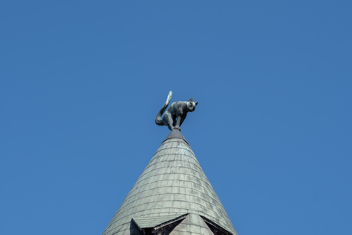 Katzenhaus am Livenplatz