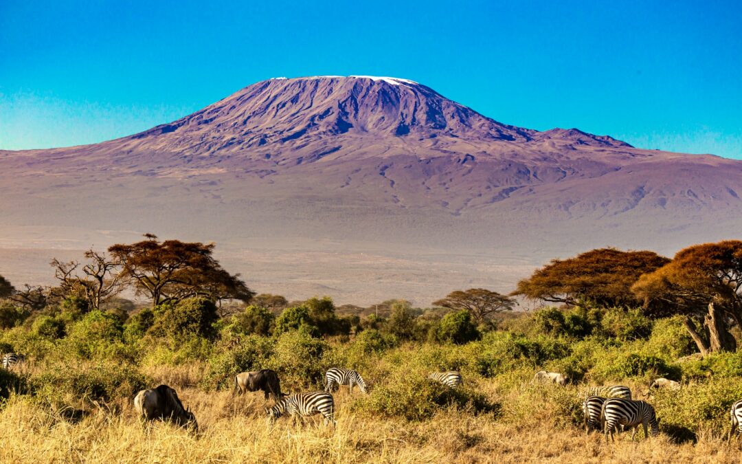Kilimandscharo Besteigung: Der große Ratgeber für deine Afrika-Expedition