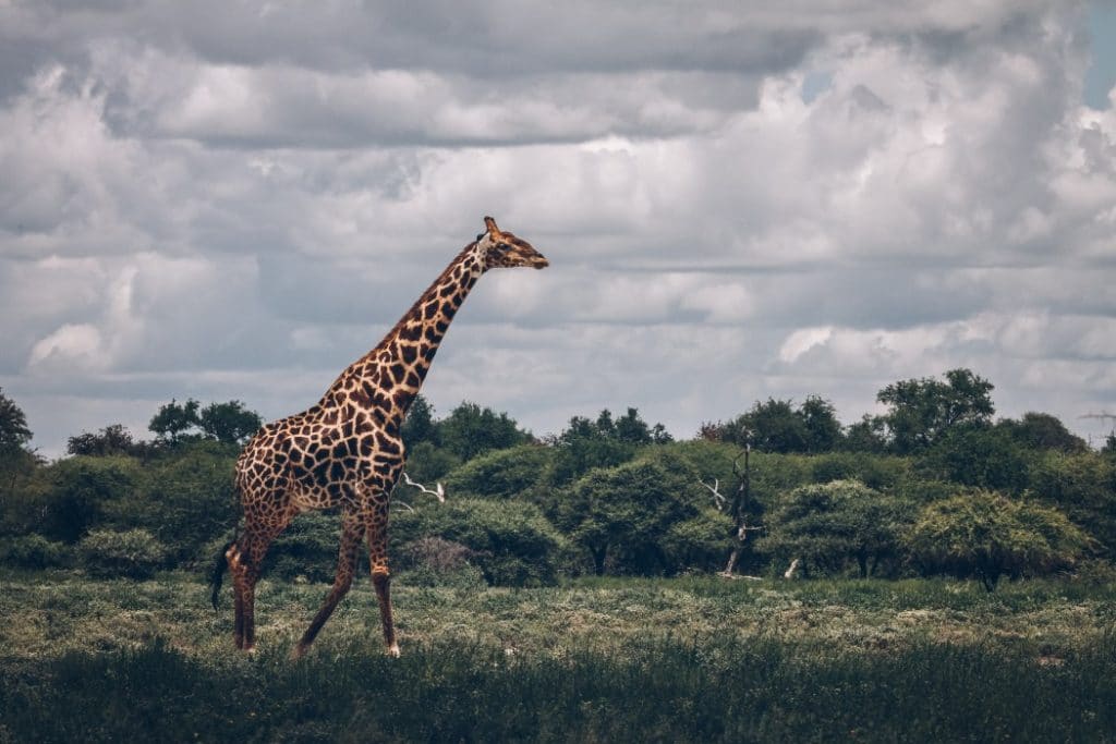 Backpacking in Namibia