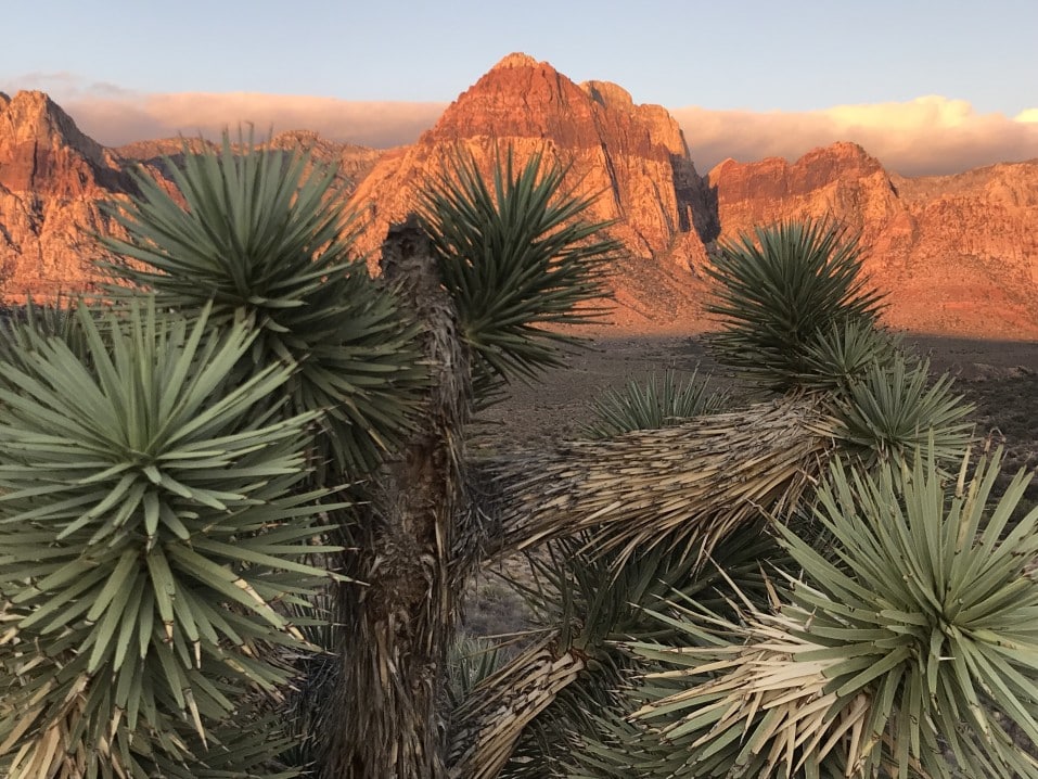 Red Rock Canyon in Las Vegas, Nevada