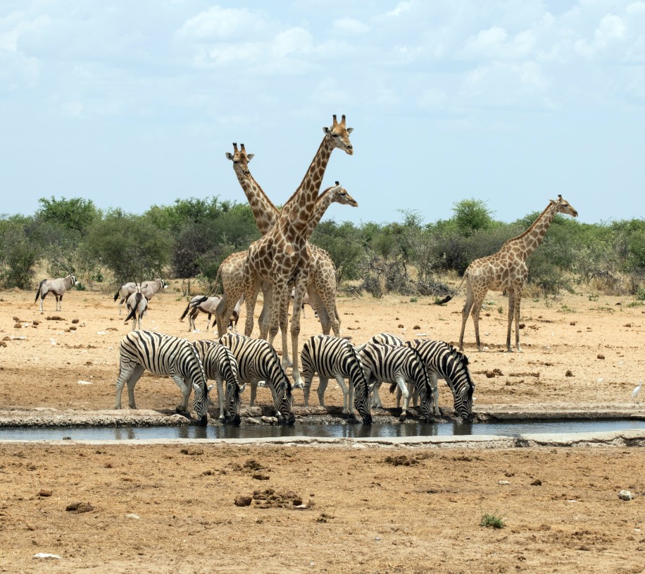 Beste Reisezeit für Backpackers in Namibia