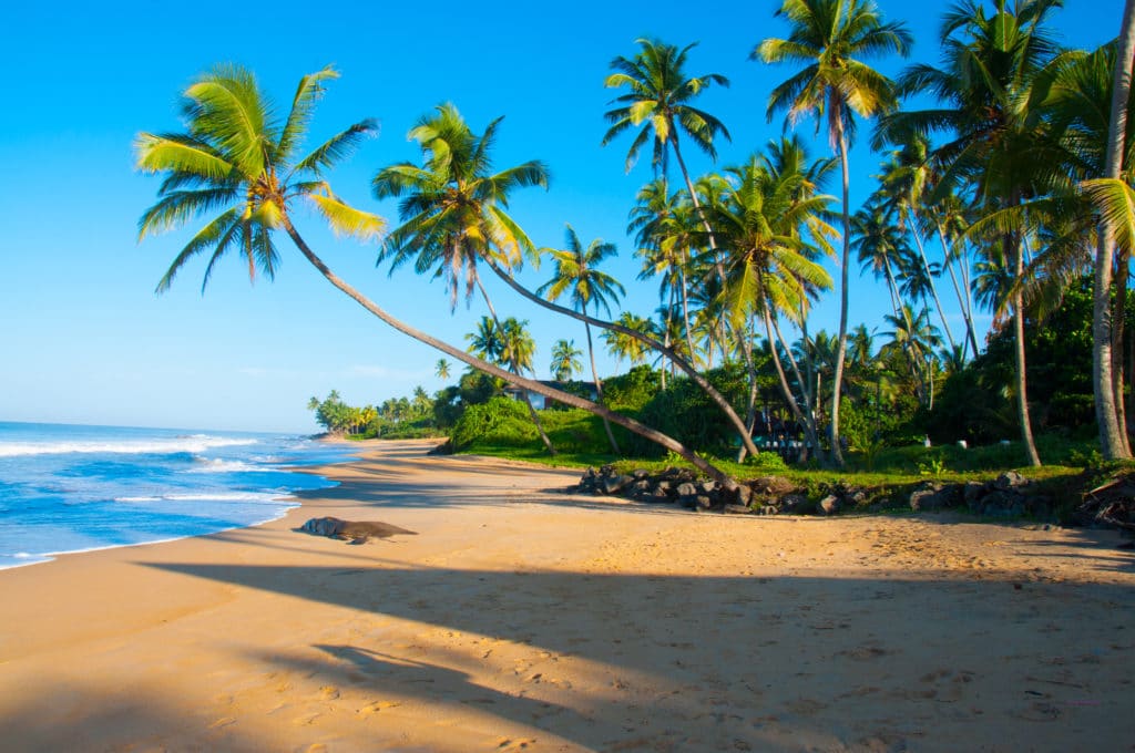 Sri_Lanka_Beste_Reisezeit