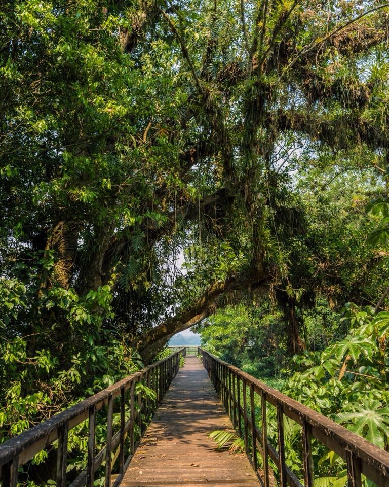 Río Plátano, Reservat in Honduras