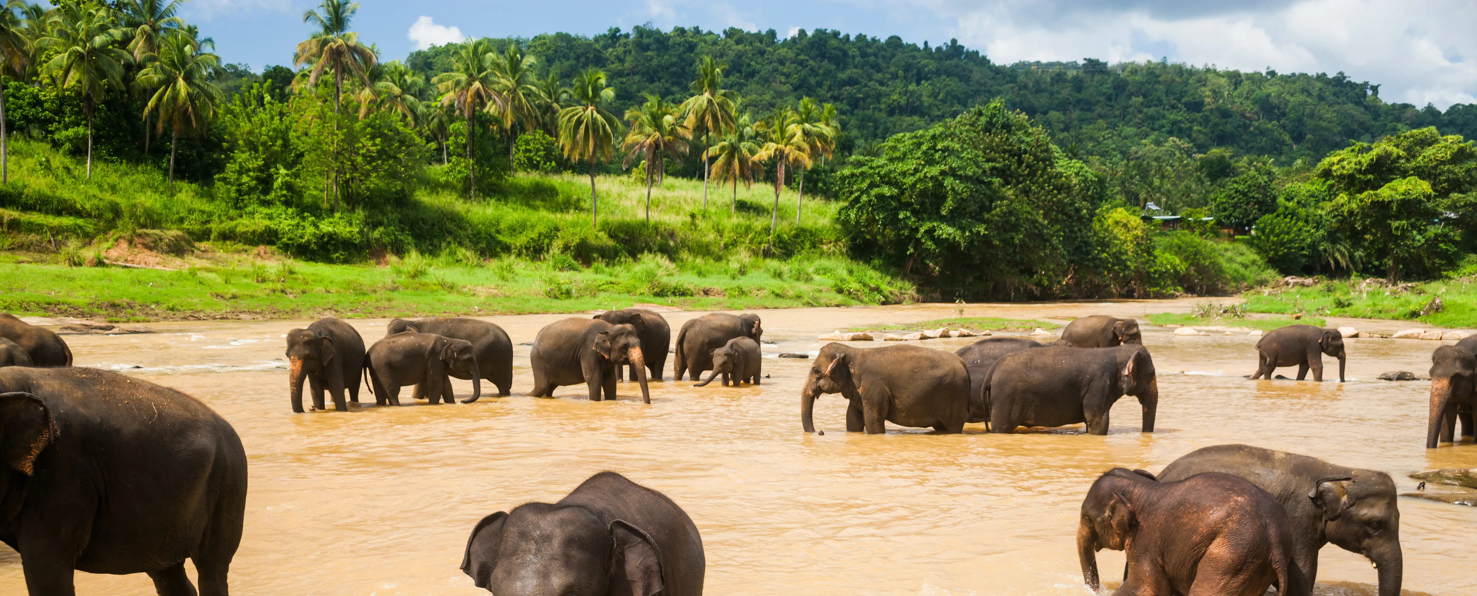 Backpacking in Sri Lanka Alle Informationen, Visum, uvm.