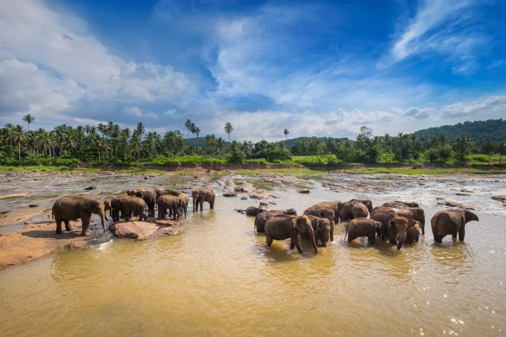 Bundala Nationalpark_Sri_Lanka