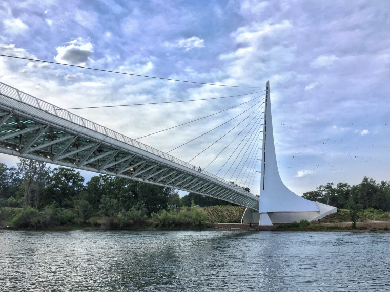 Turtle Bay Exploration Park in Redding