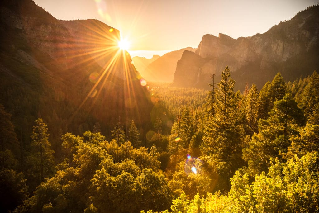 Unvergessliche Zeit im Yosemite-Nationalpark