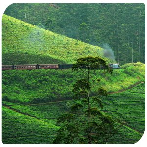 Indien Zugfahrt