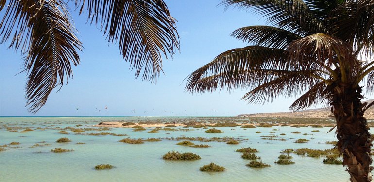 Einreise in Fuerteventura